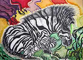 Zebra